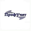 ООО ПрофУчет